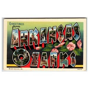 Greetings from Arkansas Ozarks Large Letter Vintage Postcard Curt Teich